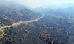 Muğla’da yangın felaketinin boyutu drone görüntüleriyle ortaya çıktı