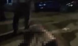 Muş-Bitlis yolunda otomobilin çarptığı yaşlı kadın hayatını kaybetti