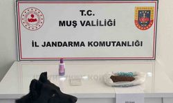 Muş’ta uyuşturucu operasyonu: 2 gözaltı