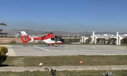 Ormanda ayı saldırısına uğradı, tedavi altına alındı