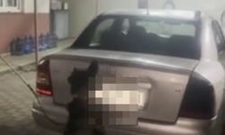 Otomobilin gaz tankından uyuşturucu çıktı: 6 tutuklama