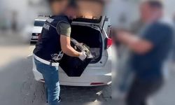 Sakarya’da 11 kilo skunk ele geçirildi, 5 şahıs tutuklandı