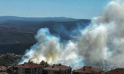 Salça yaparken çıkan kıvılcımla 30 dönüm makilik alanı kül oldu