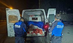 Samsun’da 5 ton kaçak midye ele geçirildi