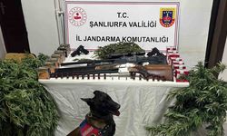 Şanlıurfa’da 1 kilo 508 gram kubar esrar ele geçirildi: 3 gözaltı