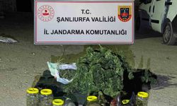 Şanlıurfa’da 13 kilo 600 gram skunk ele geçirildi