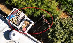 Şanlıurfa’da 200 dönümlük tarlayı kaçak elektrikle suladılar