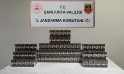 Şanlıurfa’da gümrük kaçakçılarına operasyon