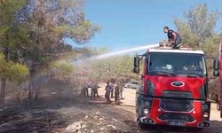 Şanlıurfa’da orman yangını