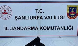 Şanlıurfa’da ruhsatsız silah ve uyuşturucu operasyonu: 8 gözaltı