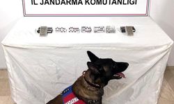 Şanlıurfa’da uyuşturucu madde ele geçirildi