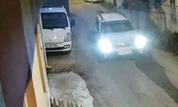 Sinop’ta yavru kediye çarpan araç kamerada