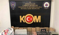Şırnak’ta narkotik ve kaçakçılık operasyonunda 2 tutuklama