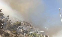 Söke’de makilik alan yangını, söndürme çalışmaları sürüyor
