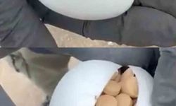 Sürpriz yumurtalardan bile uyuşturucu çıktı: 3 milyon 542 bin adet hap ele geçirildi