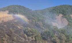 Tunceli’de kırsal alanda yangın: Havadan ve karadan müdahale sürüyor