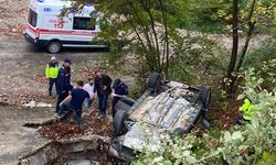 Türkeli’de otomobil şarampole yuvarlandı: 1 yaralı
