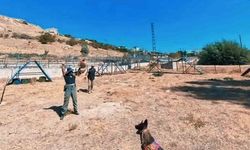 Van jandarmanın hassas burunlu can dostları parkurda ter döküyor