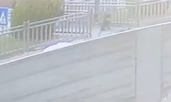 Yola fırlayan çocuk aracın altında kalmaktan son anda kurtuldu