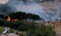 Yüksekova’da anız yangını