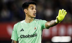 İrfan Can, Fenerbahçe taraftarından özür diledi