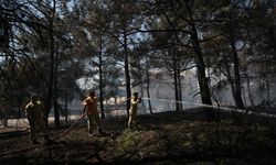 Çanakkale'de ormanlık alanda çıkan yangın kontrol altına alındı