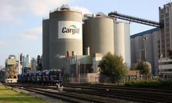Cargill İznik Gölü’nü kurutuyor mu? Yaptırım gelecek mi?