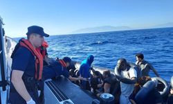 107 düzensiz göçmen yakalandı