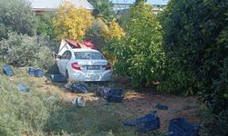 Bir otomobil zeytin toplayan işçilere çarptı