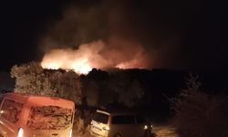 Milas'ta çıkan orman yangınına müdahale ediliyor