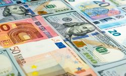 Euro durdurulamıyor: Tarihi rekorunu kırdı