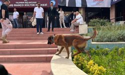 CHP Yıldırım’da güvenlik üst düzeyde! K-9 köpeği devreye girdi