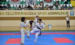 Yıldırım’da karate heyecanı başlıyor