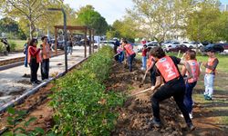 BUÜ’nün 50. Yıl Sokağı açılış hazırlıkları fidanlarla renklendirildi