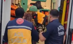 Kamyonet uçuruma düştü: 3 yaralı