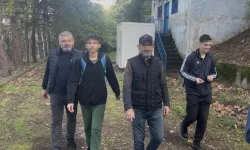 Bursa'da kestane keyfi, kurtarma operasyonuna döndü