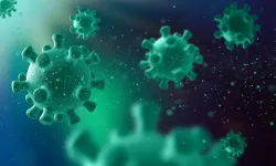 Covid-19 kabusu geri döndü, Frankenstein varyantı Türkiye'de görüldü