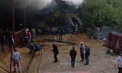 Bursa'da ahır yangını