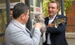 Can dostlar Osmangazi’de koruma altında