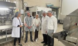 TKDK, 'Kardelen örnek niteliği taşıyor"
