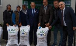 Nilüfer'de bin 500 dekarda İtalyan çimi üretilecek