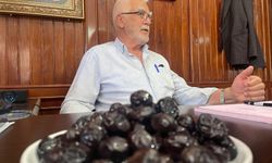 Gemlik zeytini dünya yolunda