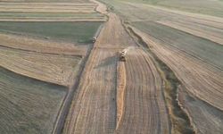 İthalat açıklaması bile arpanın ateşini düşürmedi