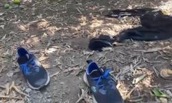 5 yıldızlı otele silahla saldırıp bahçede kıyafet değiştirmişler