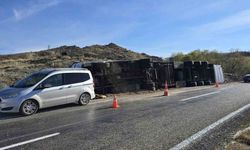 Ankara’da devrilen tırdaki 2 inek telef oldu