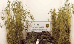 Antalya’da 53 kilo uyuşturucu ele geçirildi