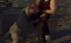 Bahçelievler’de pitbull cinsi köpek sahibine saldırdı: Dehşet anları kamerada