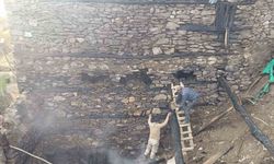 Bahçesaray’da odunluk yangını korkuttu