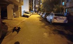 Balıkesir’deki deprem Aydın’da da hissedildi