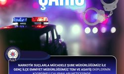 Bingöl’de hakkında 15 yıl kesinleşmiş hapis cezası bulunan zanlı tutuklandı